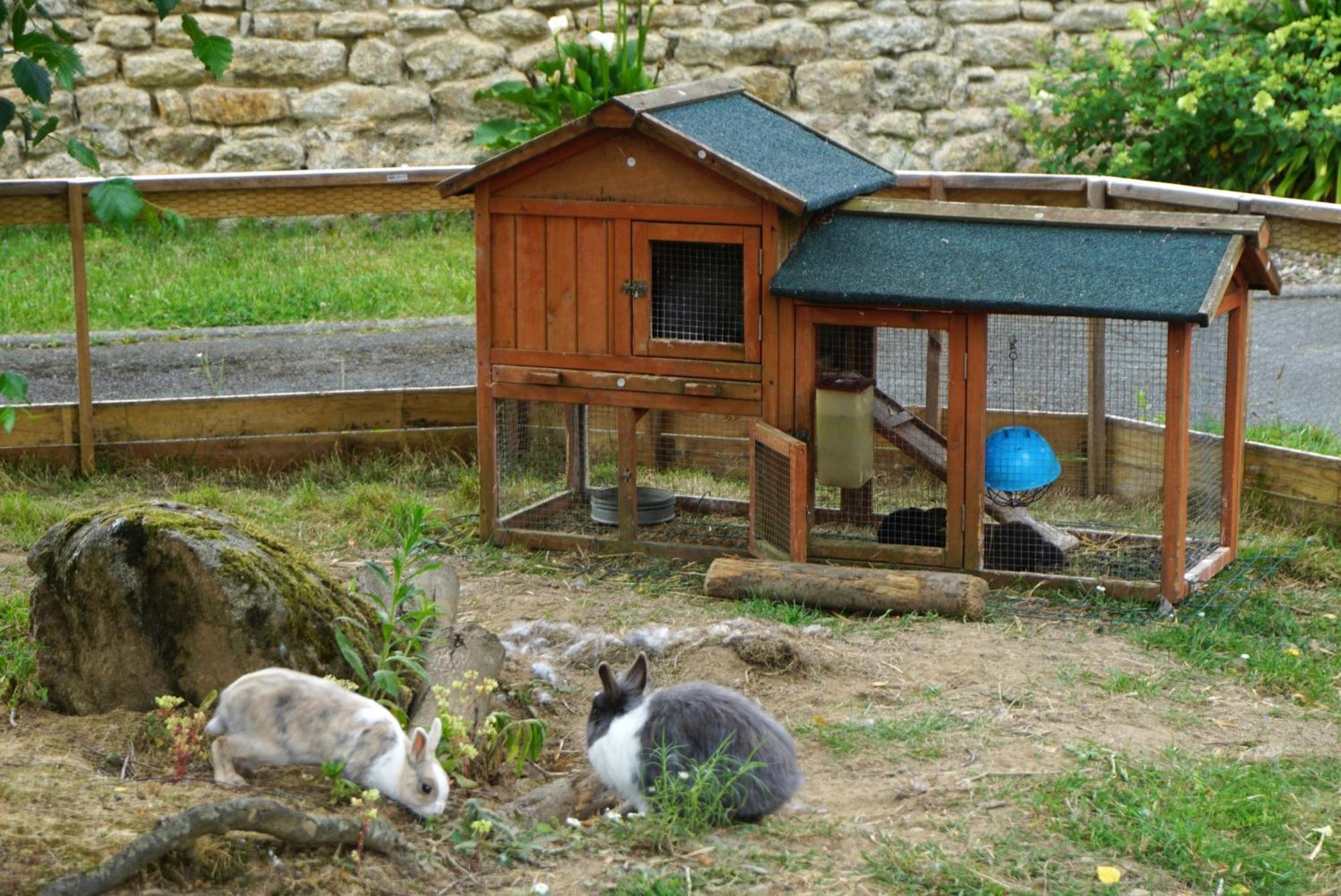 Auberge Ti'Gousket Guingamp Exterior foto